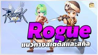 แนวทางการเล่น Rogue - สเตตัส สกิล และ การ์ด | Ragnarok V: Returns