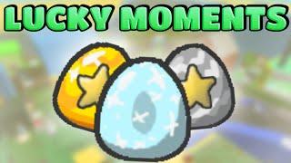 The Last Beesmas Moments! Lucky Moments! - Bee Swarm Simulator