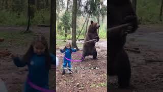 The bear rescued by firefighters became a good friend to humans.#bear #shorts #animals #cute