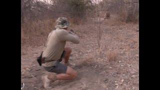 lion charge - This is Africa TV (Subscribe)