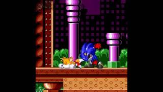 Tails Got Punched From the Back #shorts