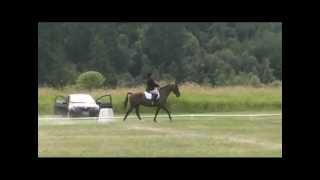 Julia Wood & Maduro; Area VII Young Riders HT, August, 2013