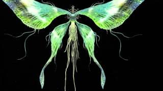 Dark Souls OST - Moonlight Butterfly/Dark Sun Gwyndolin