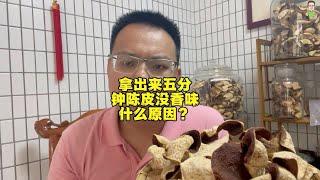 拿出来五分钟陈皮就没味道什么原因？普通款味淡，或常晒陈皮