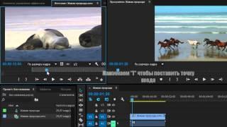 Как совместить несколько видео в одном кадре (Adobe Premiere Pro CC)