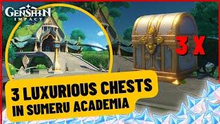 Get 3 Luxurious Chest in Sumeru City| Genshin Impact