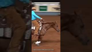 #Reining_Cherry ​@KaylaEdits-Eq entry to reining edit #horse #shorts (videos equinepromotion.com)