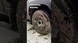 Нива после рыбалки больше не поехала #Lada #granta #vesta #niva #страховка #гарантия #ваз #нива