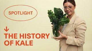 The History of Kale Explained