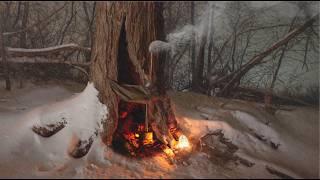 Extreme Winter Overnight in a Tree Hollow | Primitive Fire Making, Catching & Cooking Fish