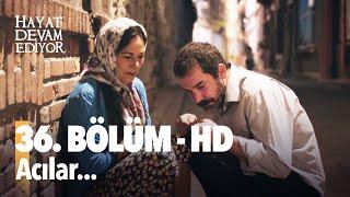 36. Bölüm Hayat Devam Ediyor | HD İZLE Birlikte İzleyelim