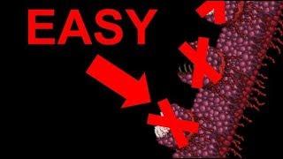 Terraria Modded (Calamity and SacredTools): How to easily beat Wall of Flesh on Revengeance Mode!