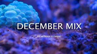 Human Element - December Mix | Progressive House || Melodic Techno