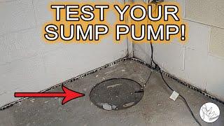 How to Test & Maintain Your Basement Sump Pump