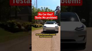 Tesla Fun Fact - Keyless