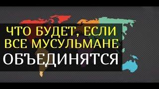 Узнайте, что будет, если все мусульмане объединятся!