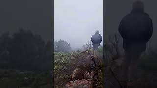 How surreal is it at the top of #mountain #tassie #tasmania #australia #visitaustralia #shorts