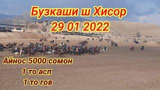 Бузкаши дар ш Хисор 29 01 2022  5000 сомон 1 то асп 1 то гов ки гирифт давом дорад