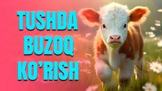 Tushda buzoq ko'rish | Тушда бузоқ кўриш