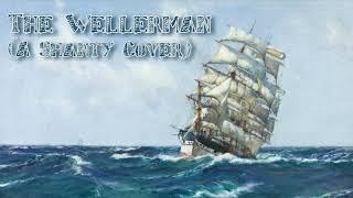 The Wellerman (A Shanty Cover)