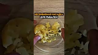 Несбиваемая НАСАДКА для РЫБАЛКИ #рыбалка #рыба #карась