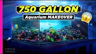 Newly Revamped 750-Gallon Reef Tank Tour – You Won’t Believe the Transformation!