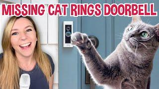 Missing Cat Rings Doorbell (See Her Polite Request to Come Inside!)