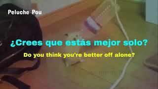 Alice DeeJay - Better Off Alone (Letra traducida al Español) hammie boye v2