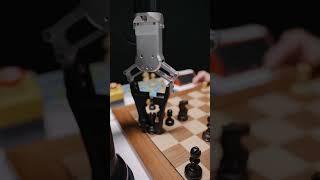 When a Robot Takes Over the Chessboard! ️