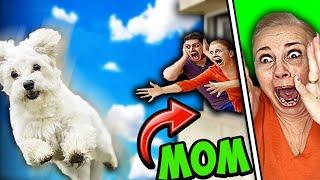 Wigofellas Pranks on Mom DAY 7 - Wigofellas Pranks TikTok - Wigofellas Pranks on Girlfriend - Sister