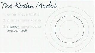 What is the Kosha Model?