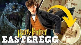 WARUM war NEWT SCAMANDER in HARRY POTTER TEIL 3 in HOGWARTS?! 