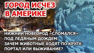 Город пропал в Америке. В США туман стер Майами. Зачем животные ходят по кругу? Портал или выживание