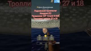 РР4. Раздача трофейных щук на Ладожском Архипелаге!#рр4#трофей #русскаярыбалка4