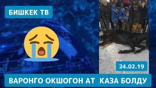 Варондун баласы улакта жан берди