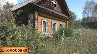 Крепкие дома в заброшенной деревне. Маленькая печальная деревня. Люди ушли отсюда навсегда.