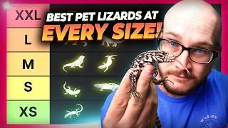 The BEST Pet Lizard At Every Size!