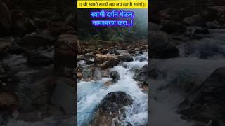 श्री स्वामी समर्थस्वामी नामस्मरण,कृपाशीर्वाद#swamisamarth#motivation #swamiseva#love#swami #bhakti