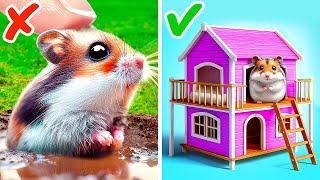 How I Built a Miniature Room For My Hamster  DIY Forever Home for Pet 