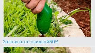 Garden Trimmer компактный триммер для сада #сад #огород #shorts #триммерыдлятравы