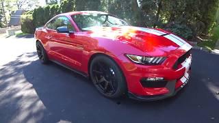 Shelby GT350 Winter Wheels and Tires | Auto Fanatic