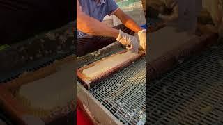 Honeycomb khmer beekeeper.#lifeisbutadream bee #beekeeper