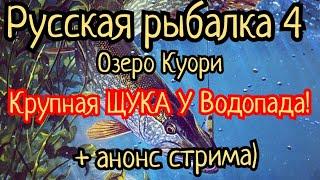 РР4. Озеро Куори. Крупная ЩУКА у Водопада! Шанс на трофей! Где и на что ловить?