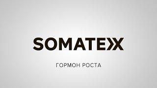 Somatex - гормон роста