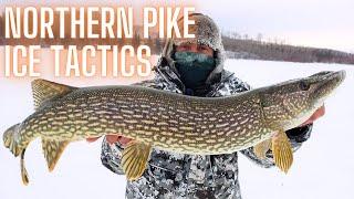 Northern Pike Ice Fishing Tactics