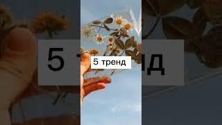 \\ТАНЦУЙ ЕСЛИ ПОМНИШЬ ЭТОТ СТАРЫЙ ТРЕНД ТТ, Likee 2019