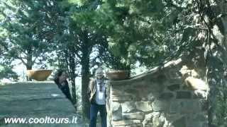 Cool Tours By Anna