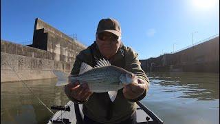 Fishing with 2018 Graphiteleader Corto rod