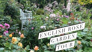 English Rose Garden Tour | June 2024 | David Austin Roses & more