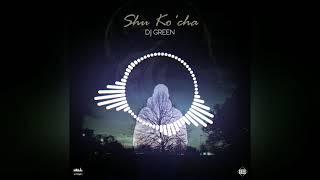  Dj Green - Shu ko'cha